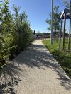 img_1070